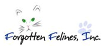 Forgotten Felines, Inc. cat and kitten rescue